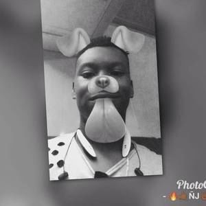 Meet your Posher, Norman